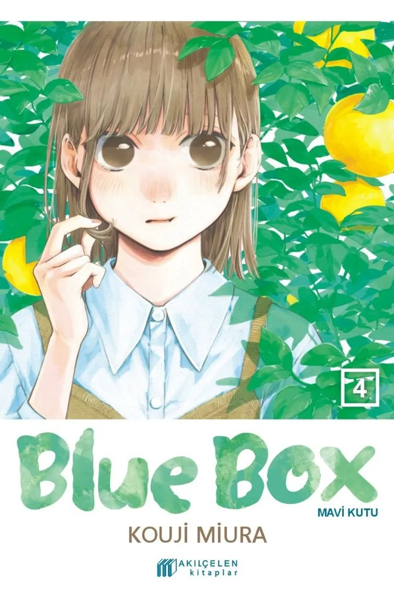 Blue Box / Mavi Kutu 4