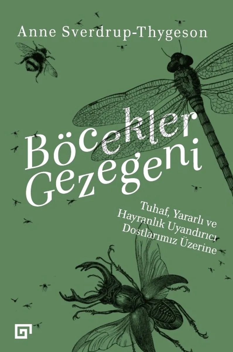 Böcekler Gezegeni Tuhaf, Yararlı Ve Hayranlık Uyandırıcı Dostlarımız Üzerine