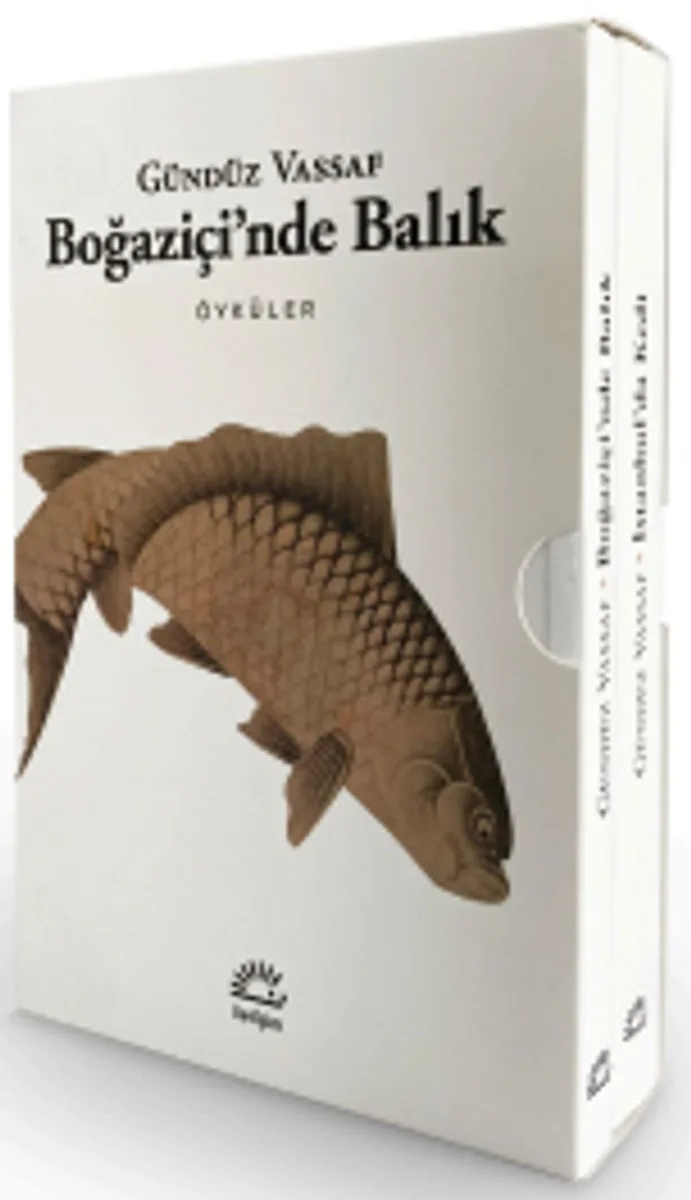 Boğaziçi'nde Balık - İstanbul'da Kedi (2 Kitap - Kutulu Set)