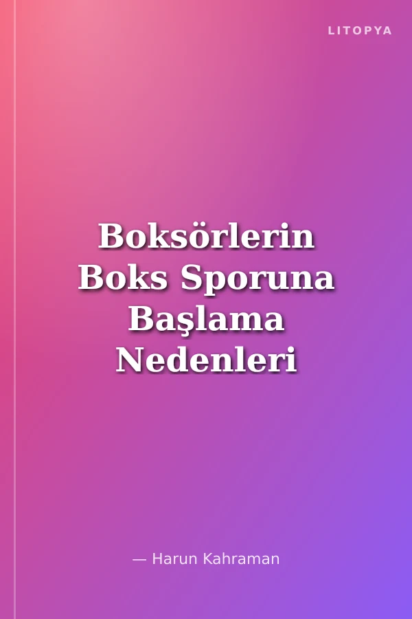Boksörlerin Boks Sporuna Başlama Nedenleri ve Beklentileri