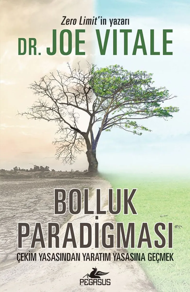 Bolluk Paradigması Çekim Yasasından Yaratım Yasasına Geçmek