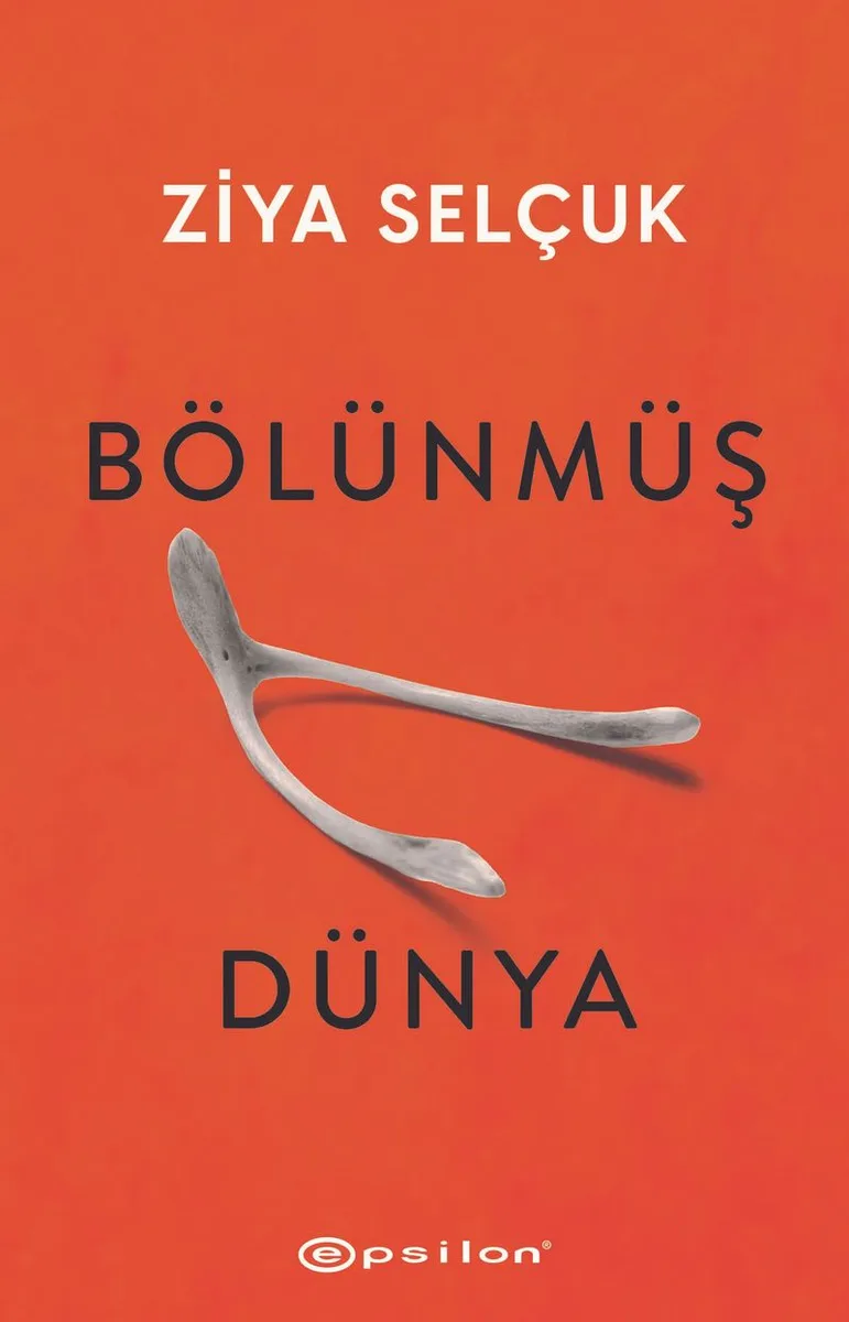 Bölünmüş Dünya