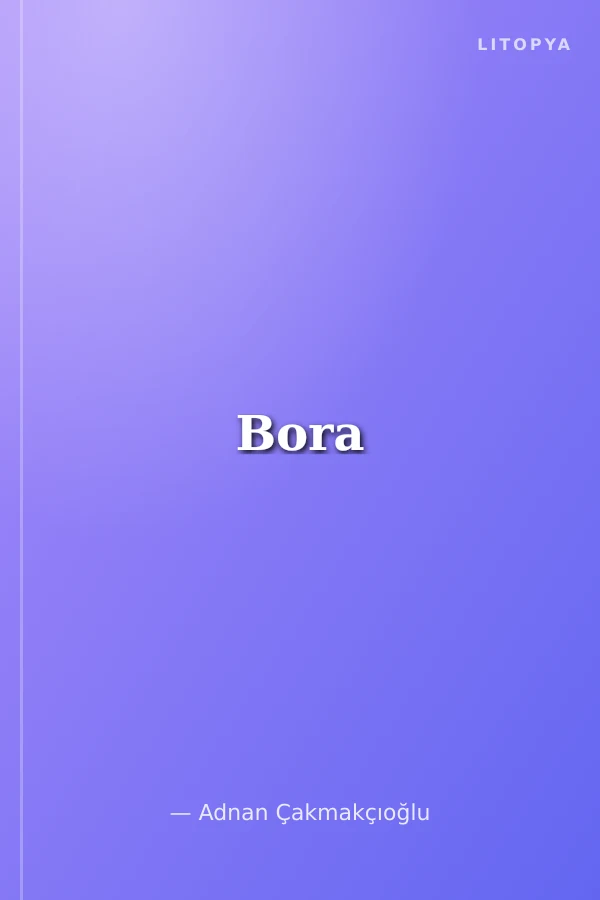 Bora