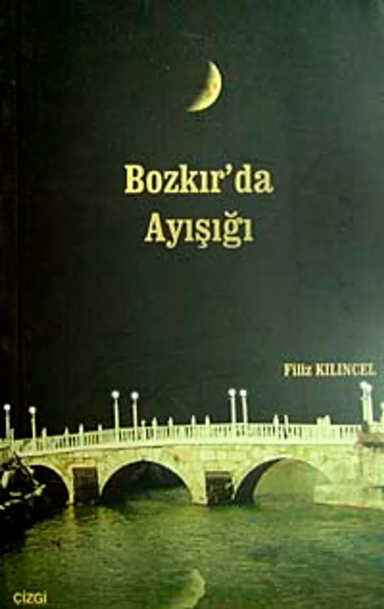 Bozkır'da Ayışığı
