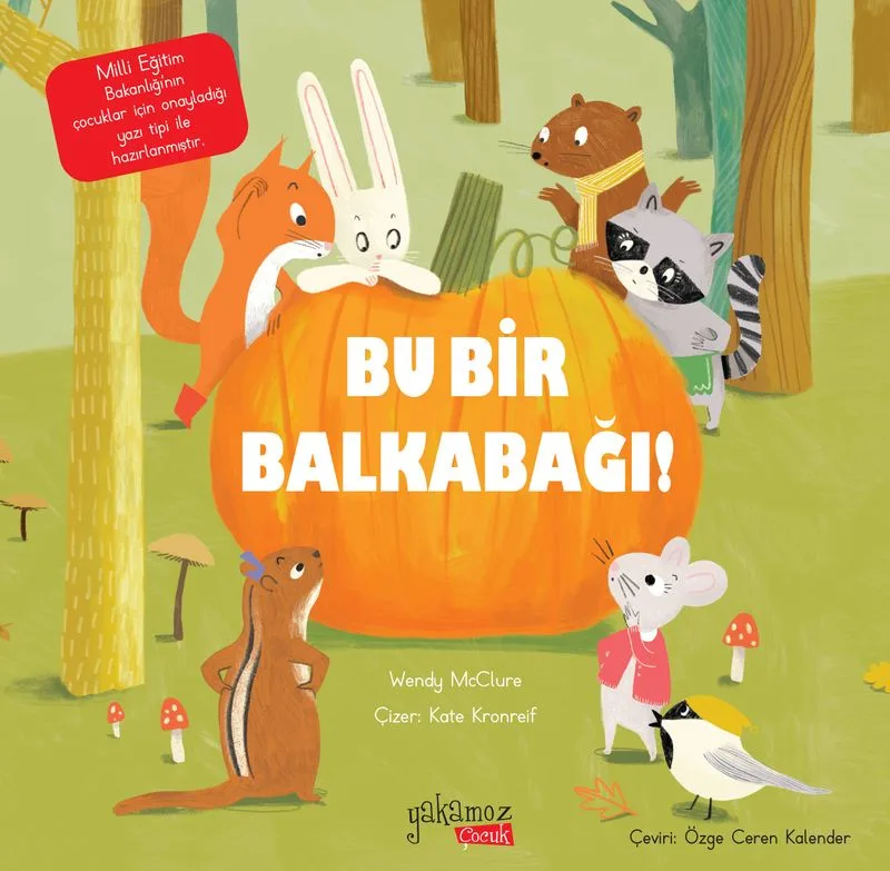 Bu Bir Balkabağı !