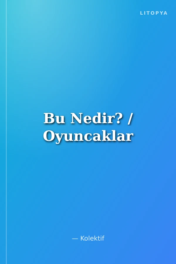Bu Nedir? / Oyuncaklar