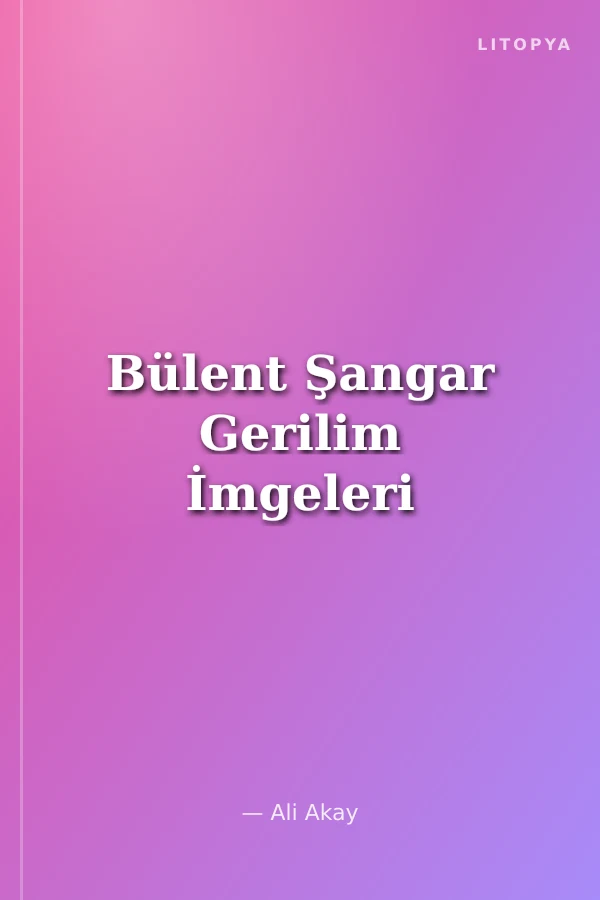 Bülent Şangar Gerilim İmgeleri