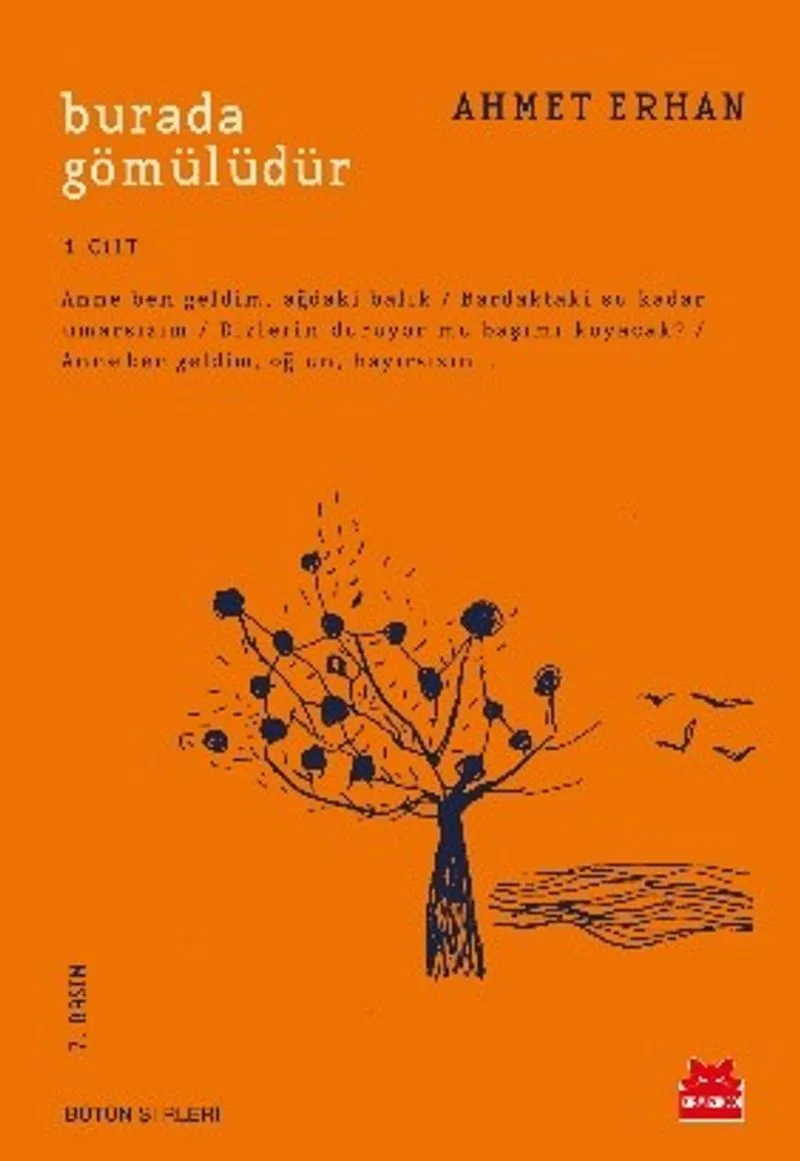 Burada Gömülüdür / Bütün Şiirleri 1. Cilt