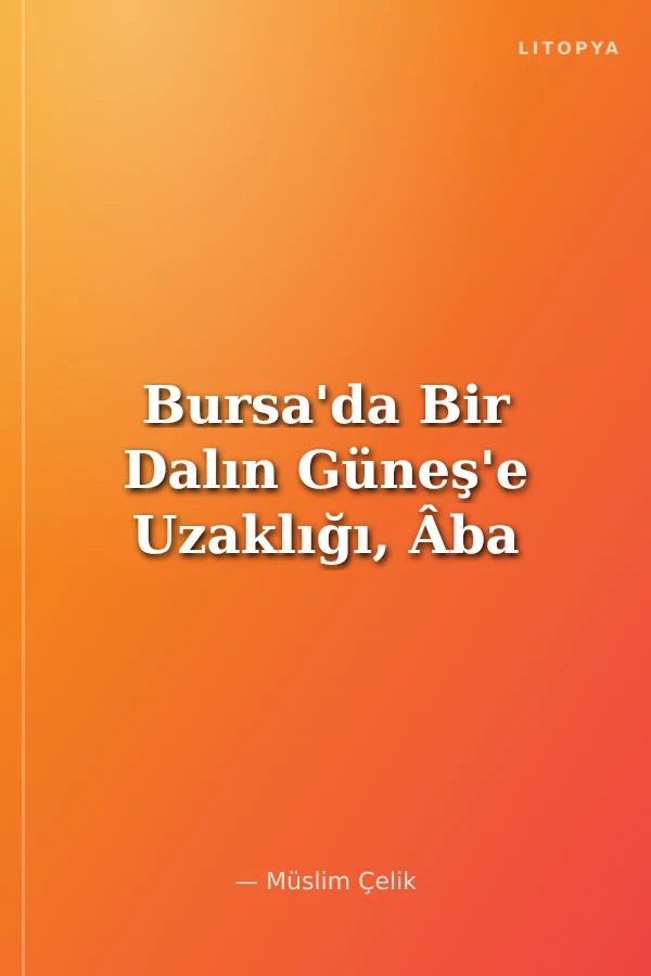 Bursa'da Bir Dalın Güneş'e Uzaklığı, Âba