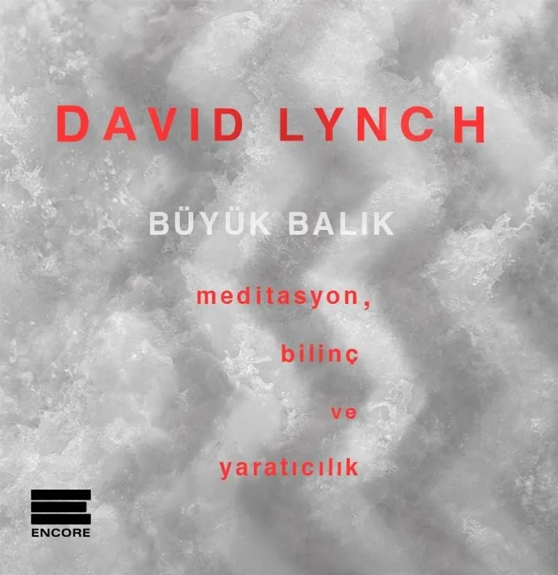 Büyük Balık Meditasyon, Bilinç ve Yaratıcılık