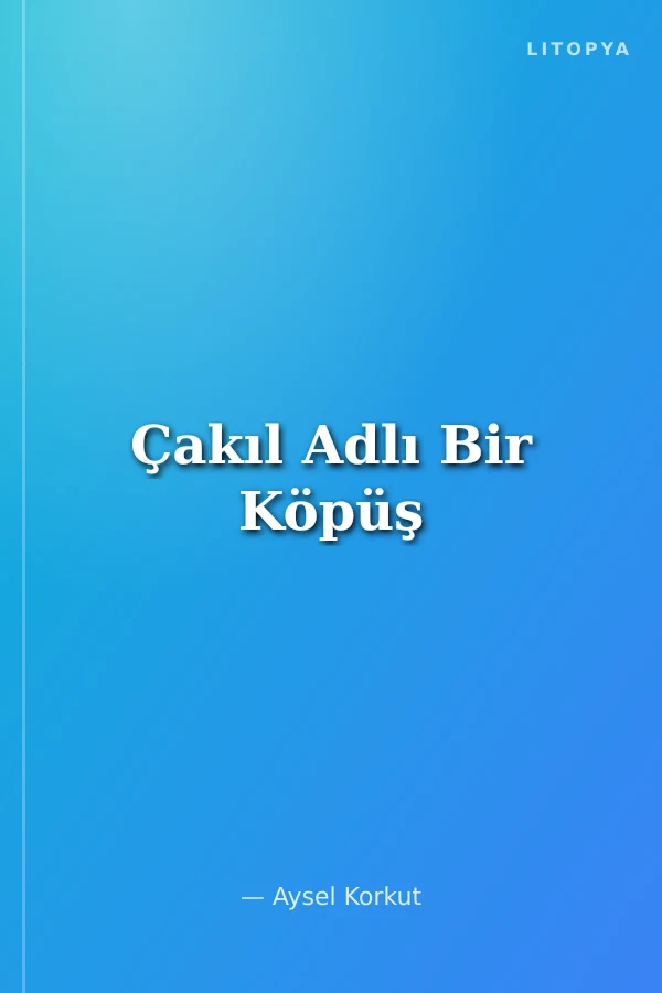 Çakıl Adlı Bir Köpüş