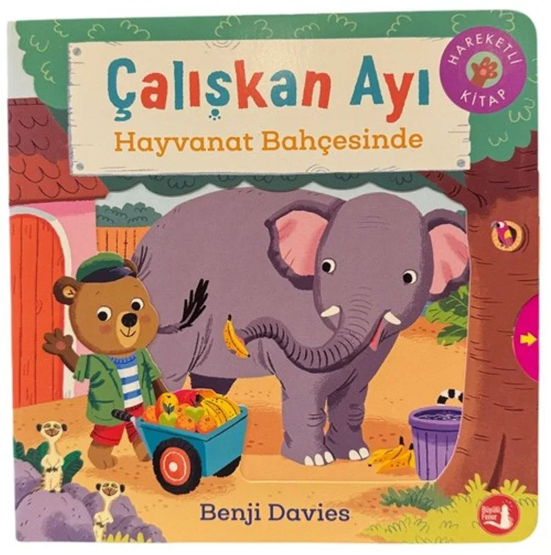 Çalışkan Ayı / Hayvanat Bahçesinde