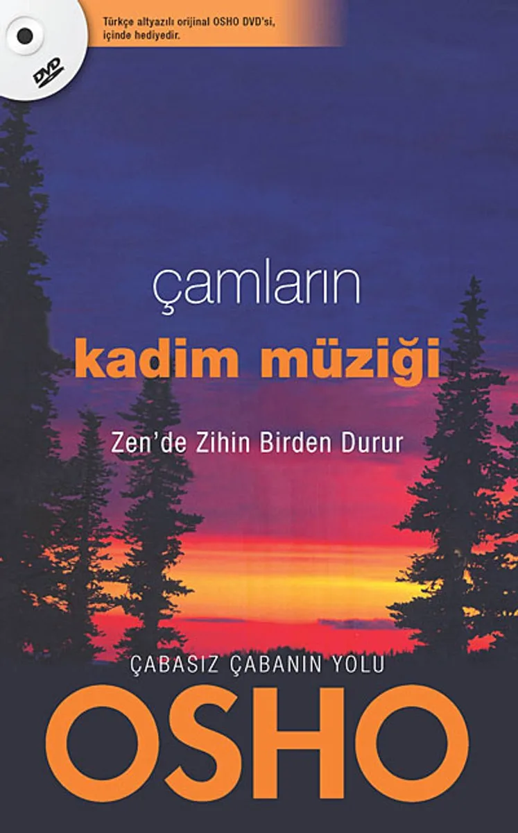 Çamların Kadim Müziği Zen'de Zihin Birden Durur
