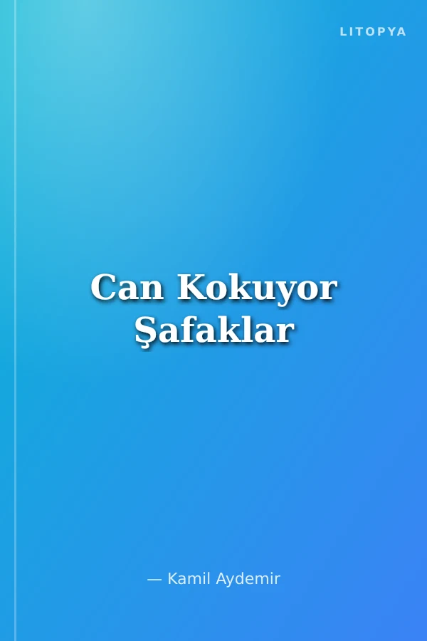 Can Kokuyor Şafaklar