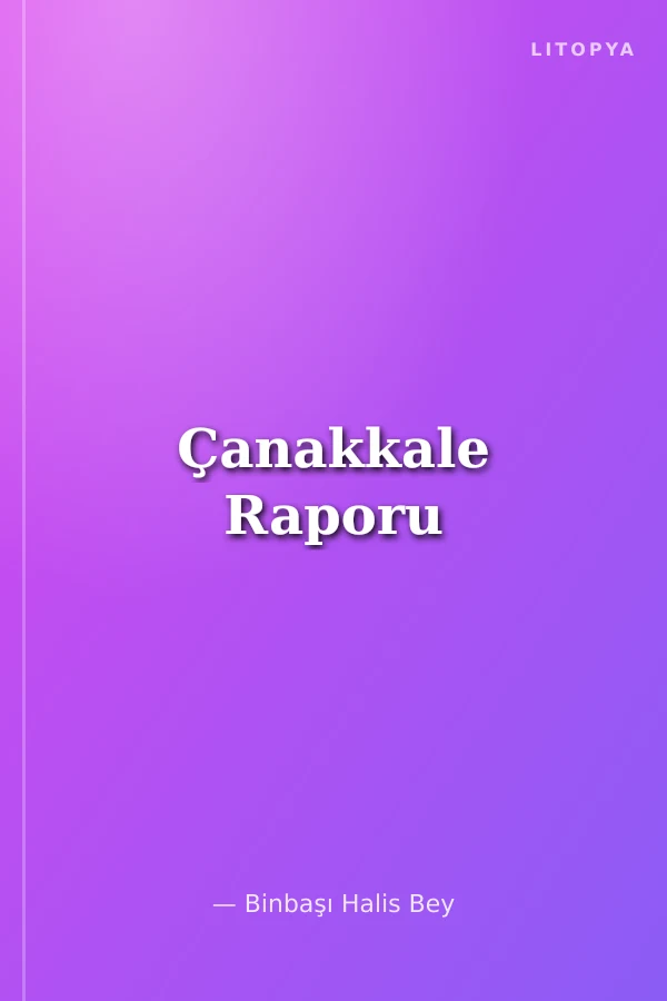 Çanakkale Raporu