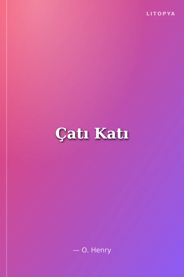Çatı Katı
