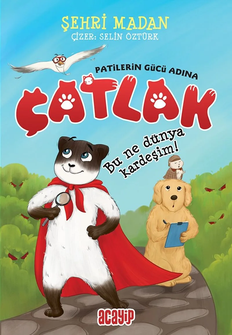 Çatlak / Bu Ne Dünya Kardeşim
