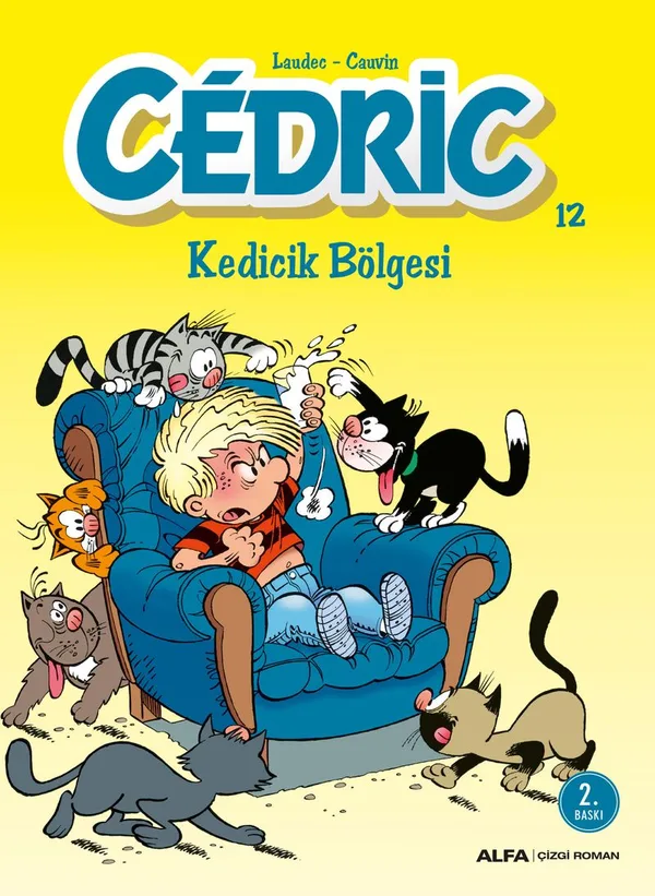 Cedric 12 / Kedicik Bölgesi