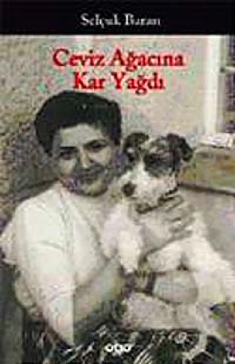 Ceviz Ağacına Kar Yağdı / Bütün Öyküleri