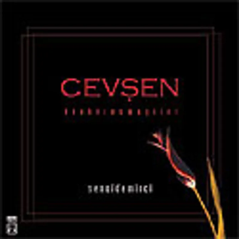 Cevşen Binbiresmaşiiri