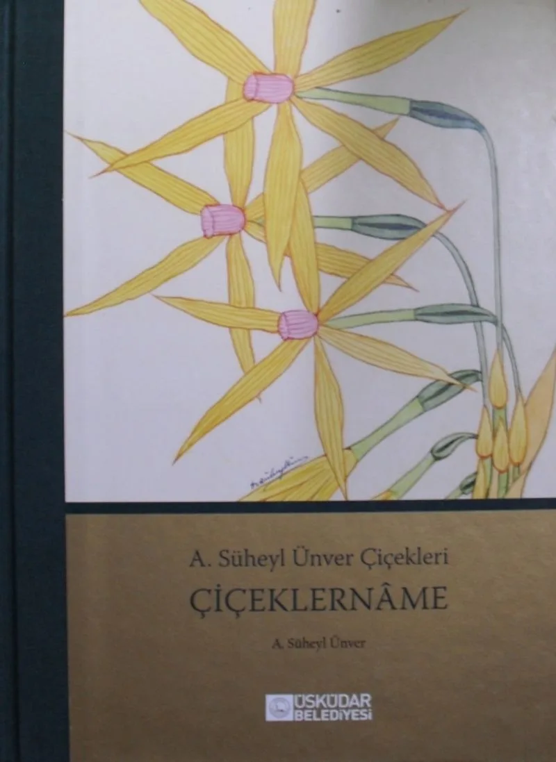 Çiçeklername Kod:11-B-47