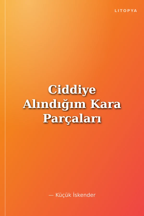 Ciddiye Alındığım Kara Parçaları
