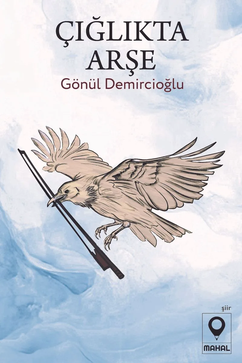 Çığlıkta Arşe