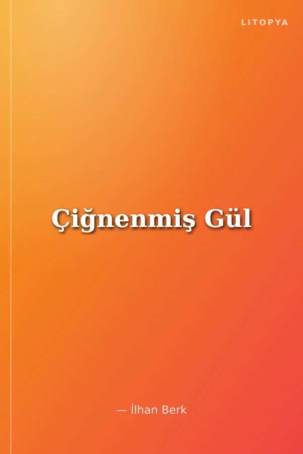 Çiğnenmiş Gül