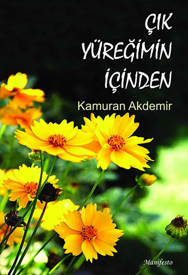 Çık Yüreğimin İçinden