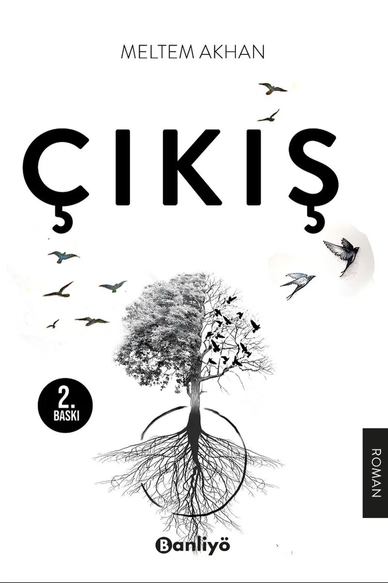 Çıkış