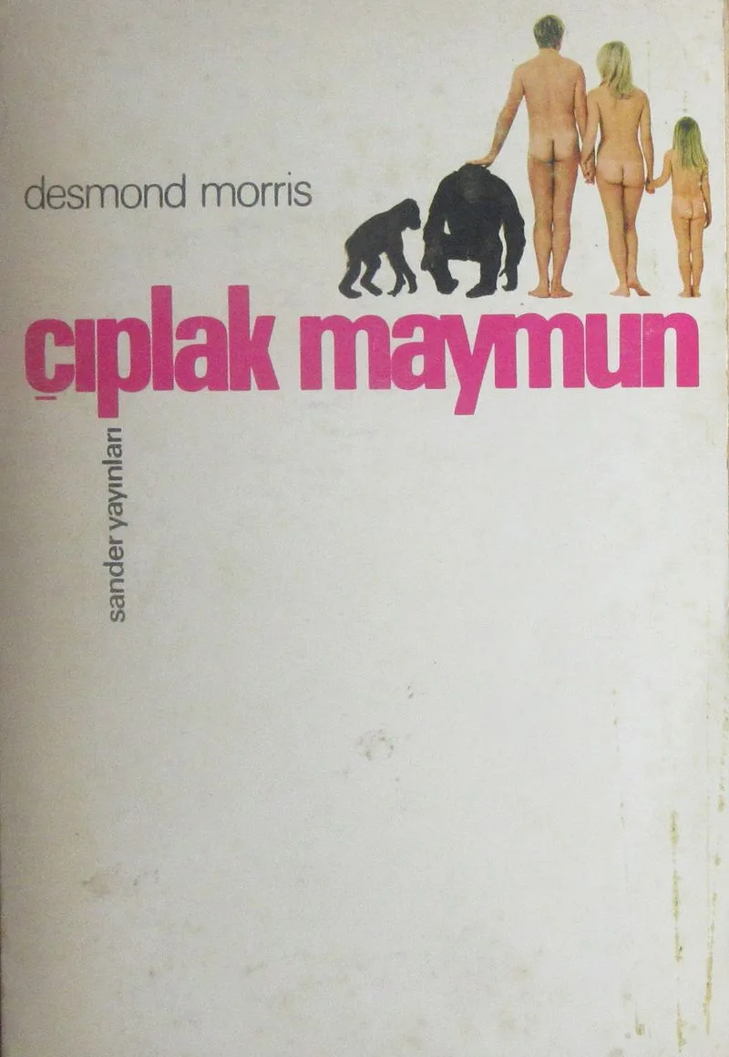 Çıplak Maymun (1-E-54)