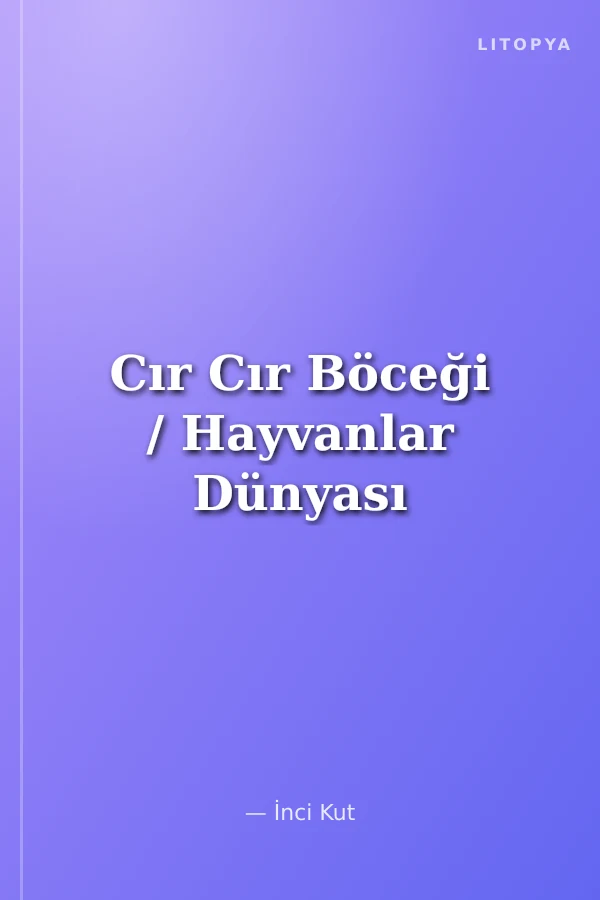 Cır Cır Böceği / Hayvanlar Dünyası