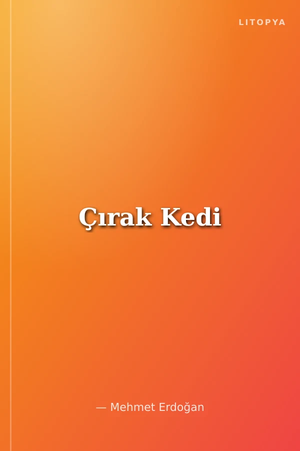 Çırak Kedi