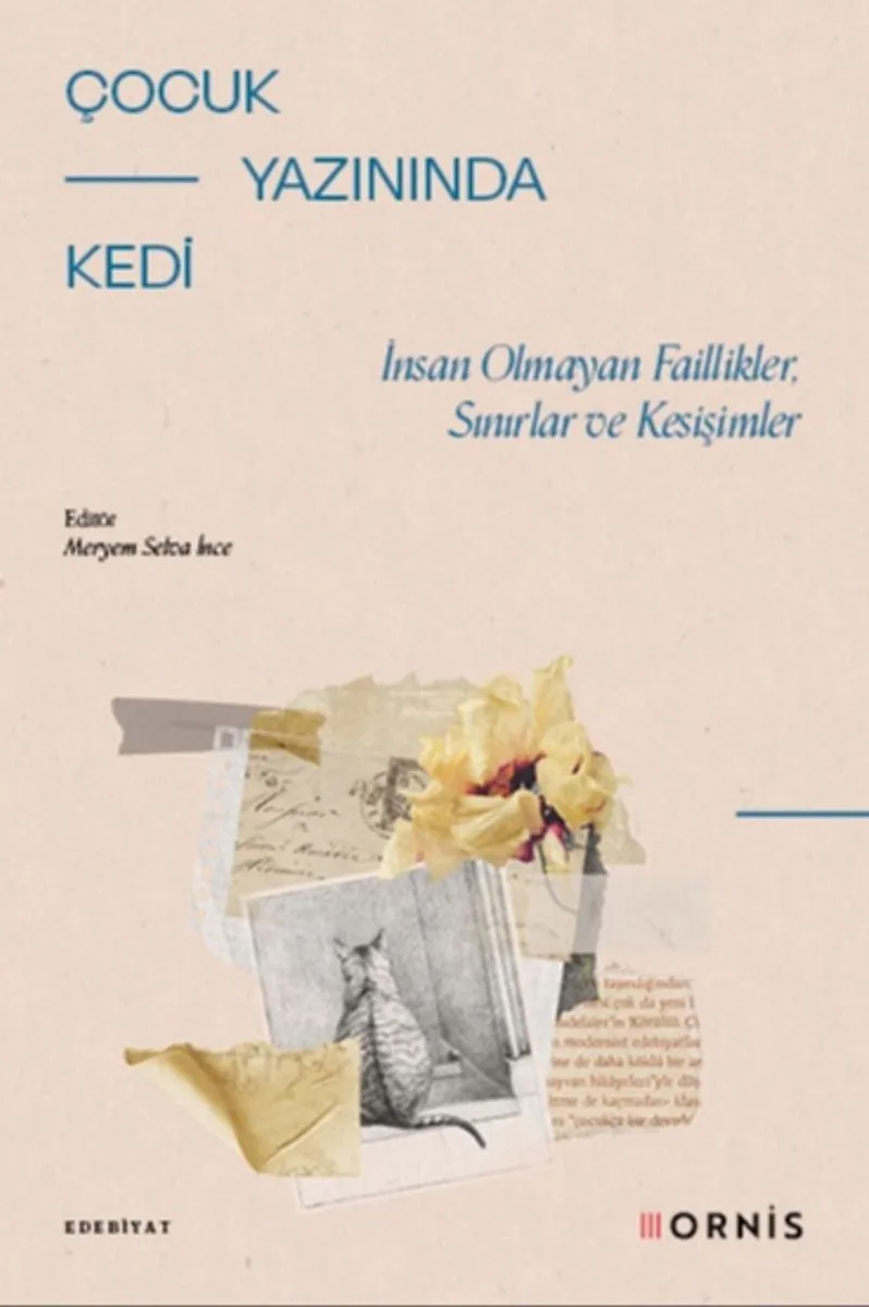 Çocuk Yazınında Kedi İnsan Olmayan Faillikler, Sınırlar ve Kesişimler
