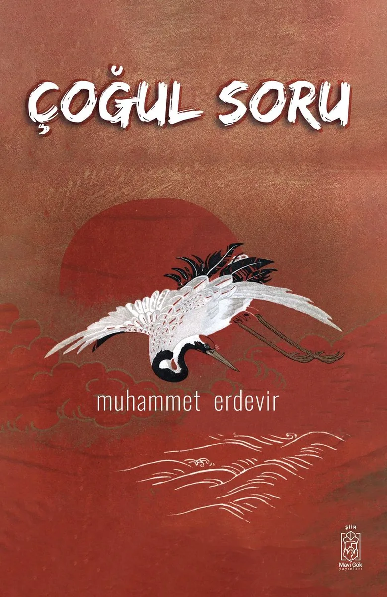 Çoğul Soru