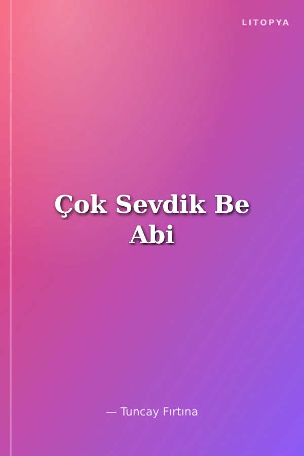 Çok Sevdik Be Abi