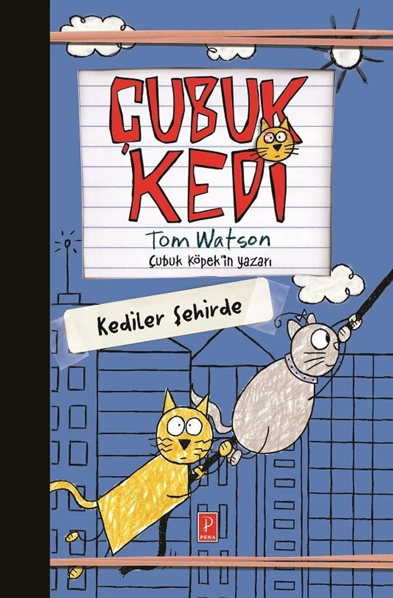 Çubuk Kedi Kediler Şehirde