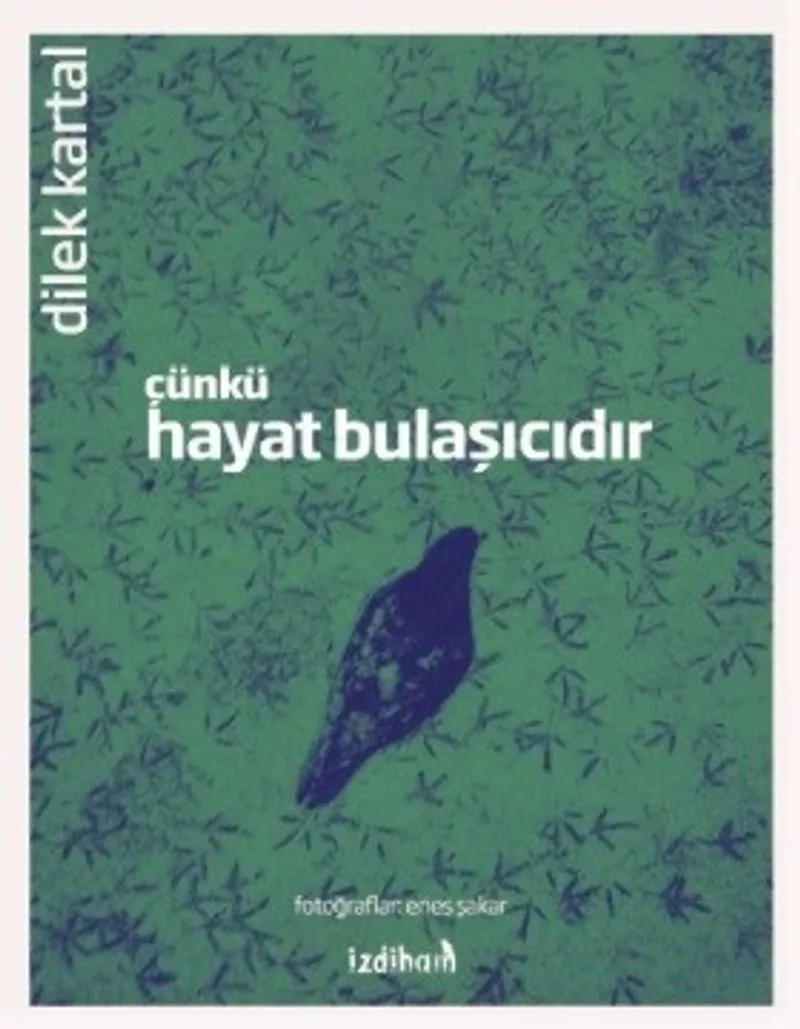 Çünkü Hayat Bulaşıcıdır