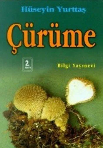 Çürüme