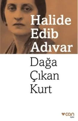 Daga çikan kurt