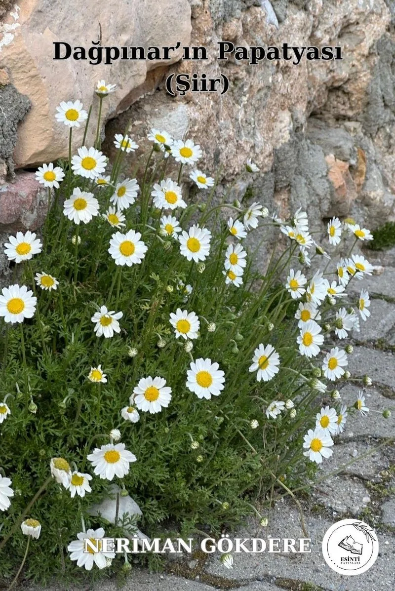Dağpınar'ın Papatyası