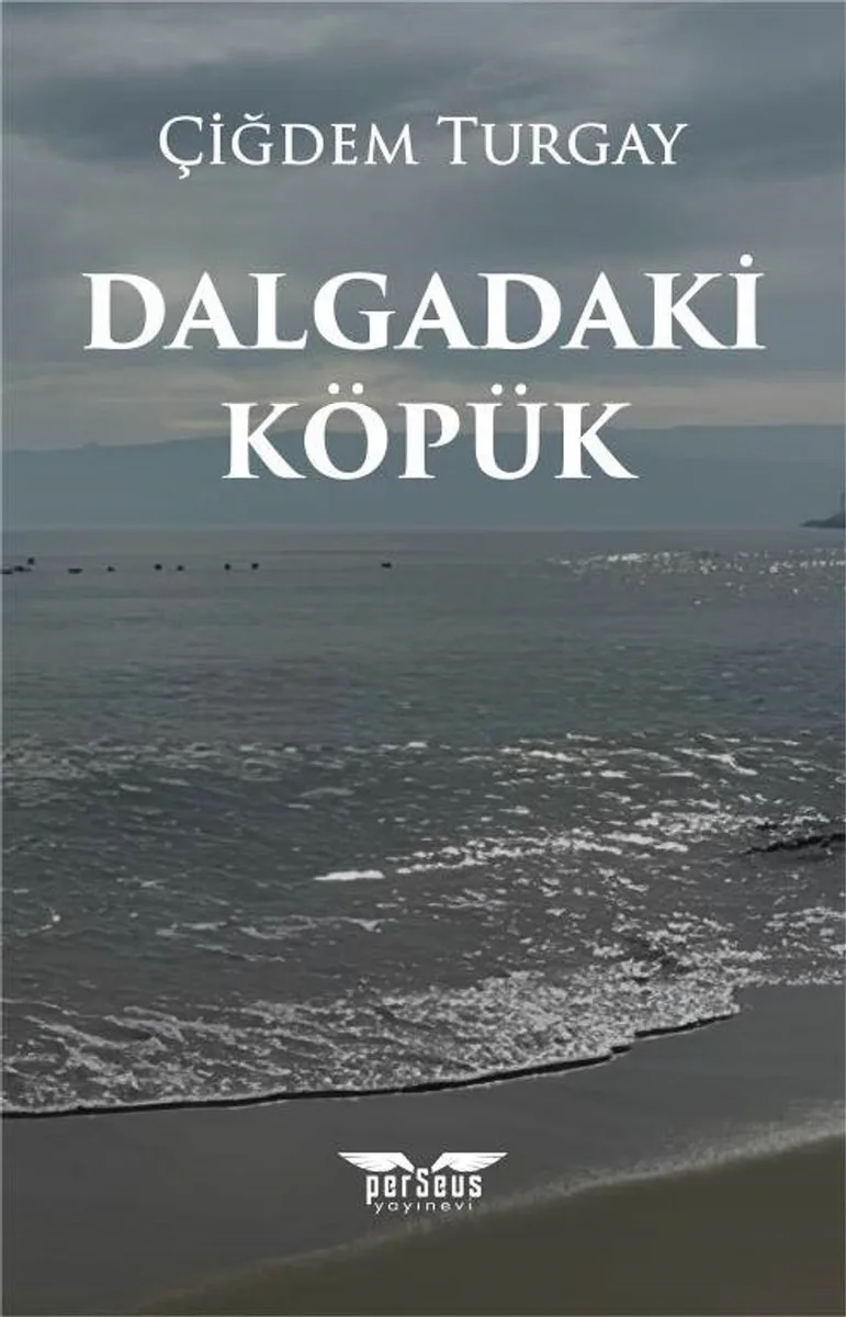 Dalgadaki Köpük