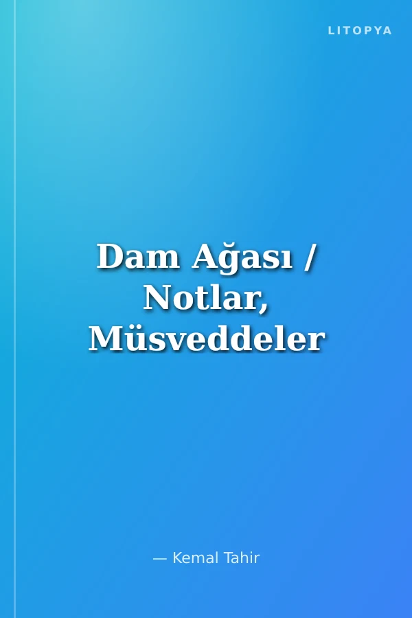 Dam Ağası / Notlar, Müsveddeler