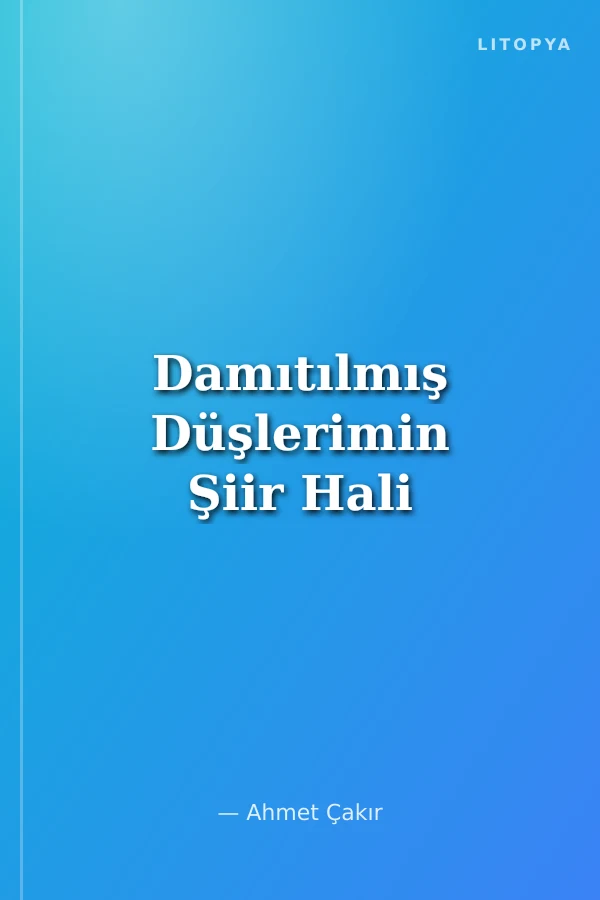 Damıtılmış Düşlerimin Şiir Hali