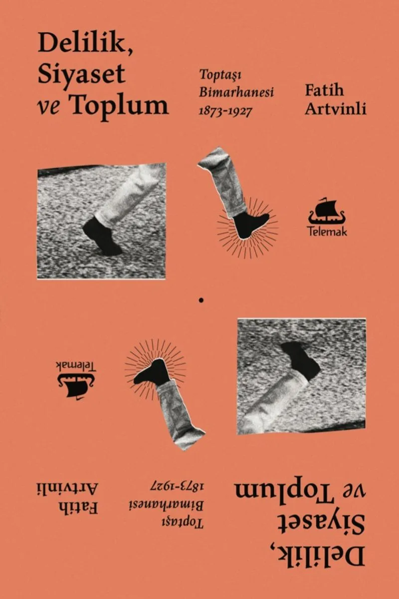 Delilik, Siyaset ve Toplum Toptaşı Bimarhanesi (1873-1927)