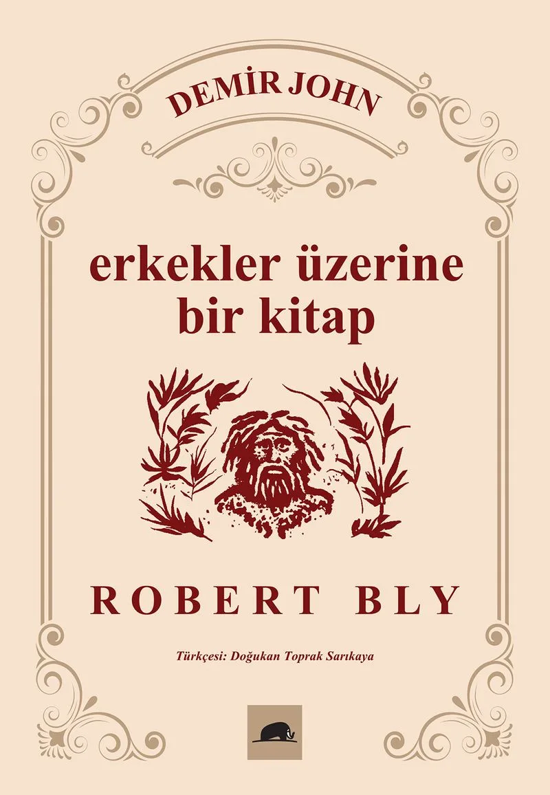 Demir John Erkekler Üzerine Bir Kitap