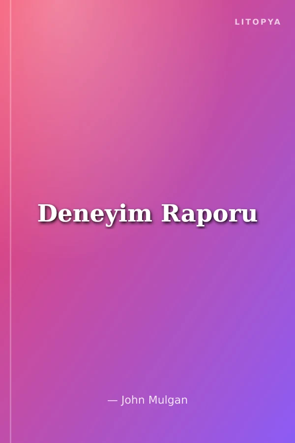 Deneyim Raporu