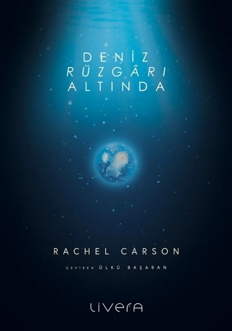 Deniz Rüzgarı Altında