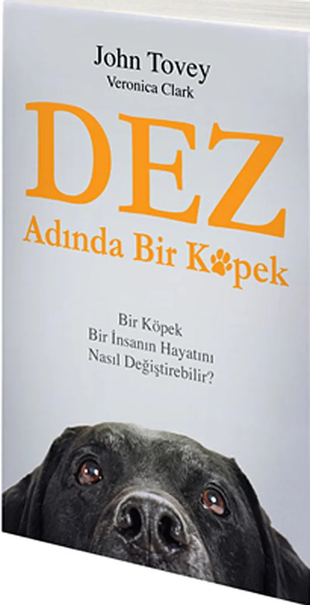Dez Adında Bir Köpek