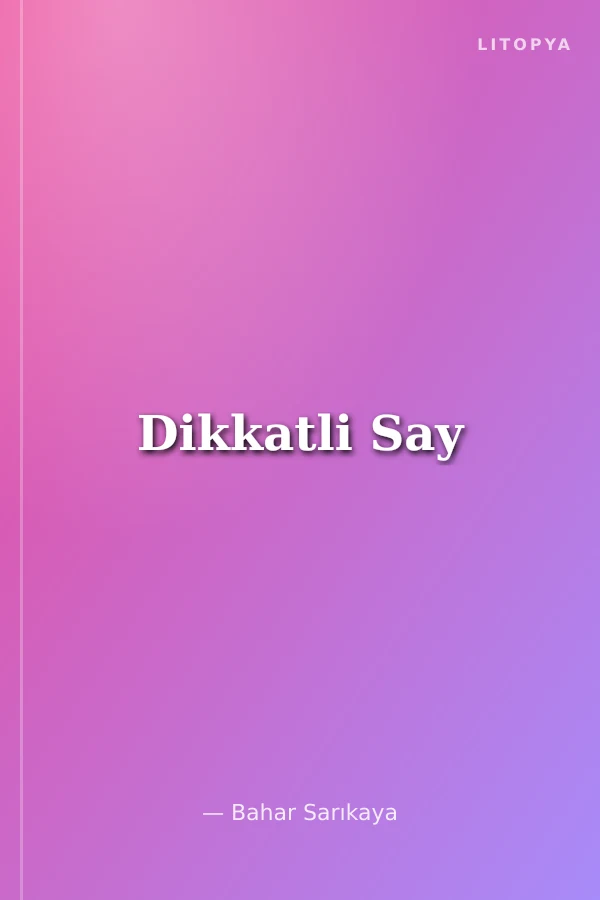 Dikkatli Say